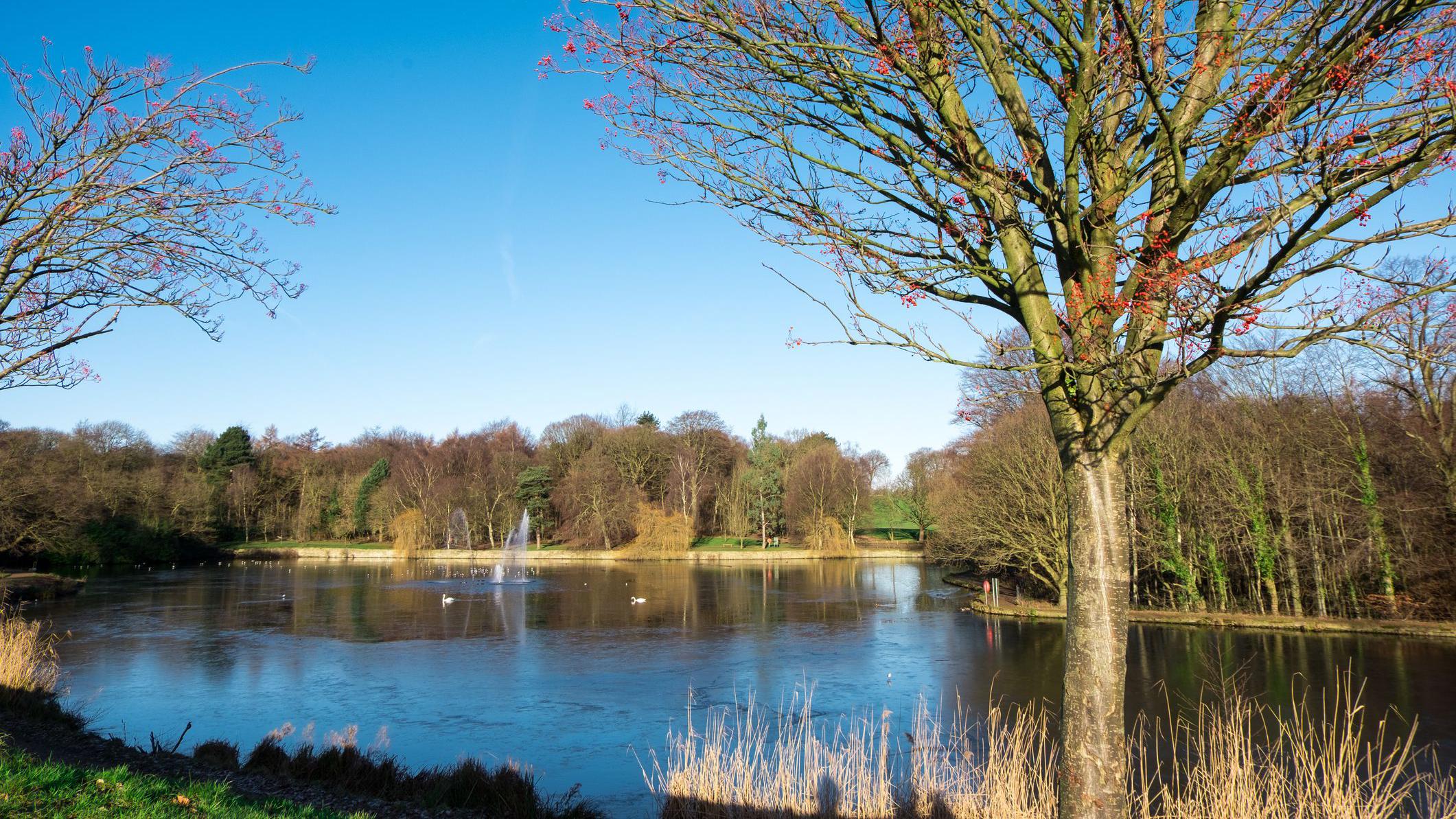 Roundhay